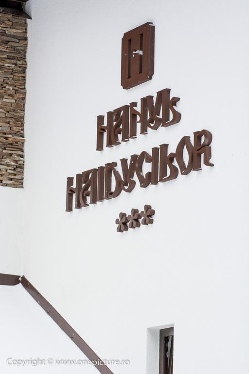Hanul Haiducilor Obarsia-Lotrului Exterior photo